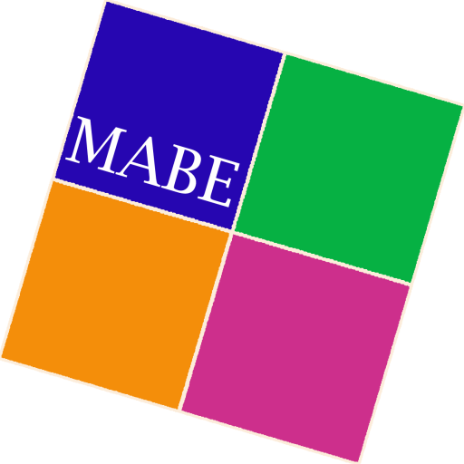 MABE : The Master of Arts in Business and Managerial Economics